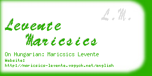 levente maricsics business card